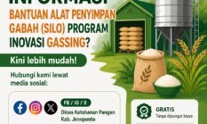 Dinas Ketahanan Pangan Jeneponto Luncurkan Inovasi GASSING, Solusi Cerdas Cegah Kerugian Panen dan Jaga Kualitas Gabah Petani